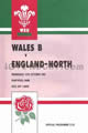 Wales B England North 1992 memorabilia